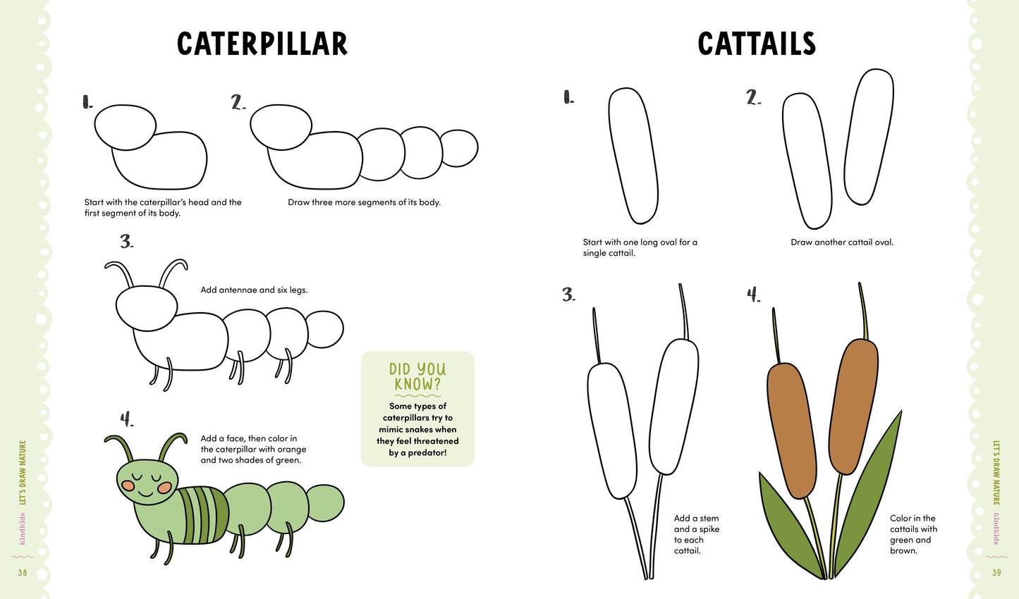 KindKids Let's Draw Nature: 100 Simple Drawing Lessons