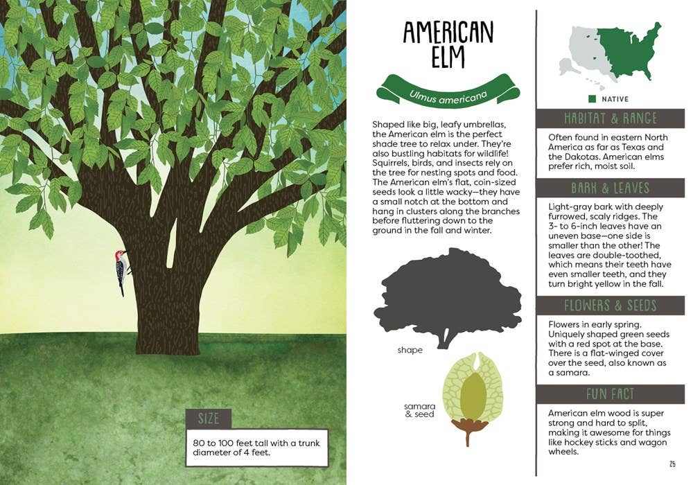Kid’s Guide to Backyard Trees