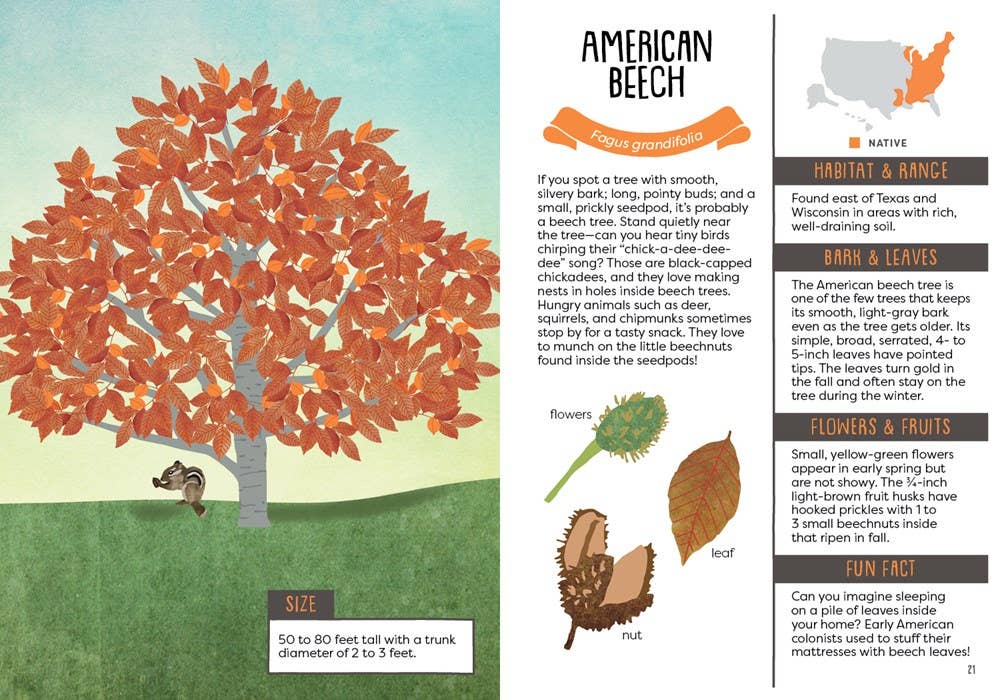 Kid’s Guide to Backyard Trees