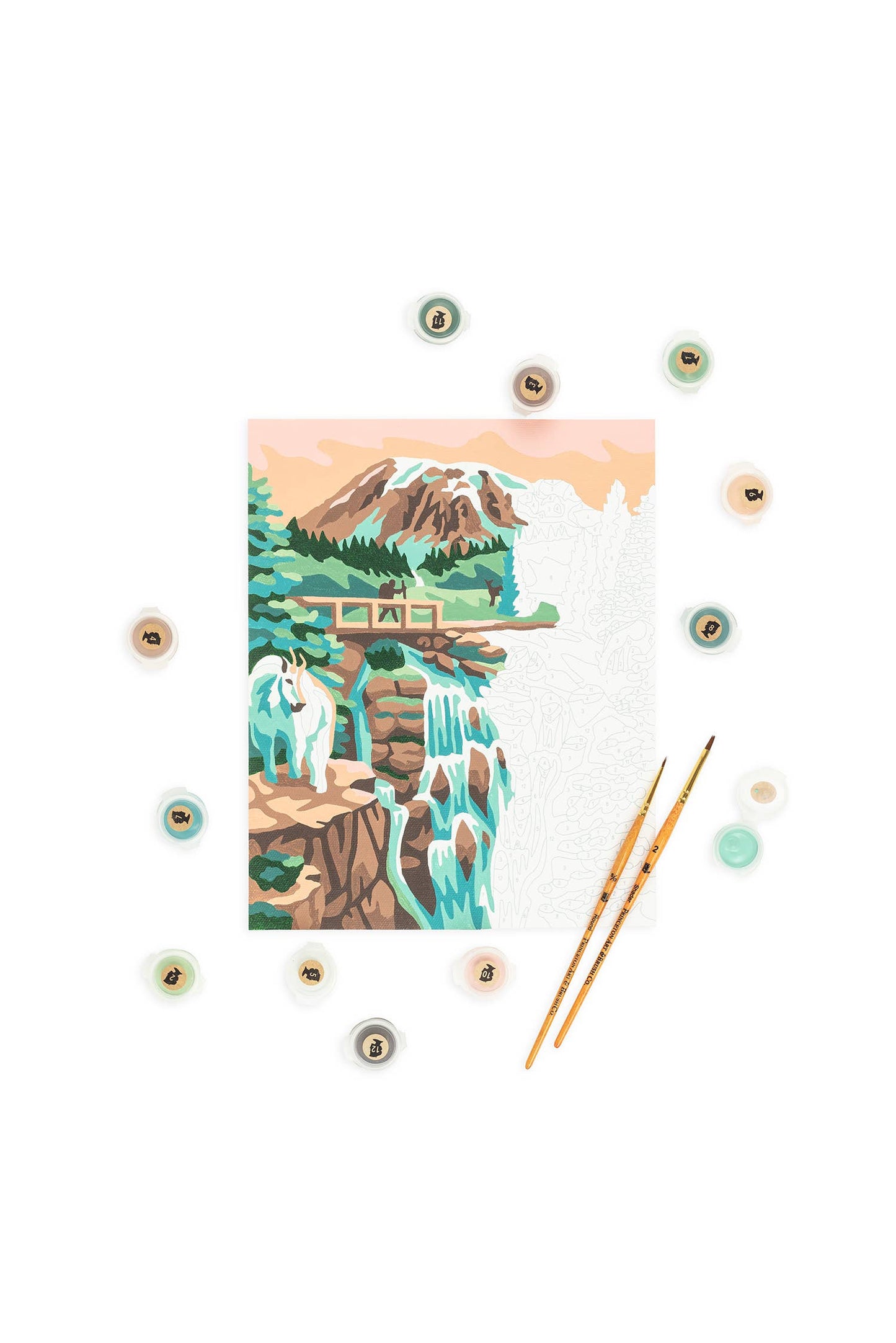 Mount Rainier Paint-by-Number Kit