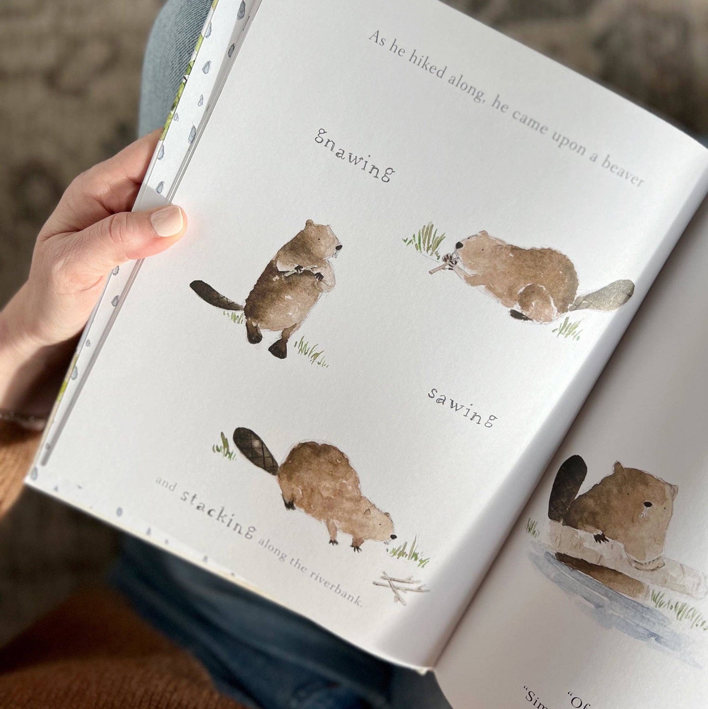 Build book - emily lex studio