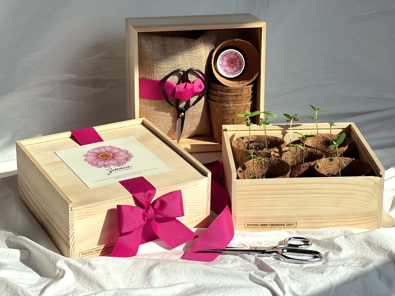 Culinary Herb Garden Box | Mother's Day - Potting Shed Creations