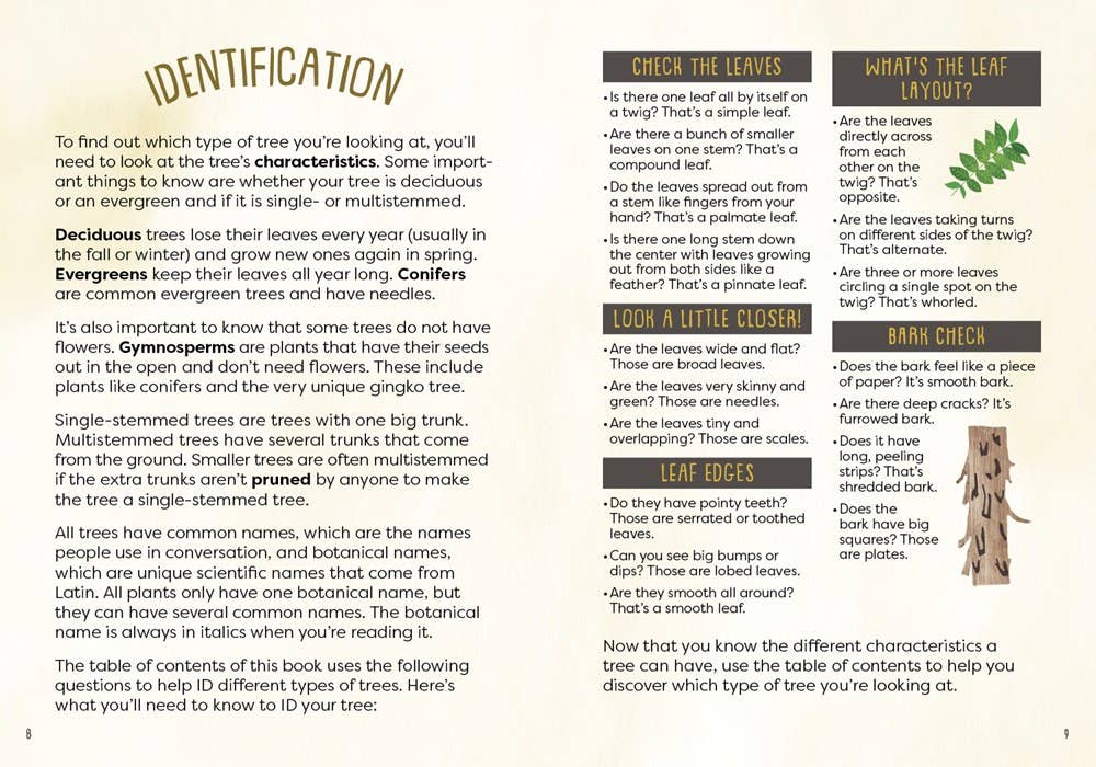 Kid’s Guide to Backyard Trees