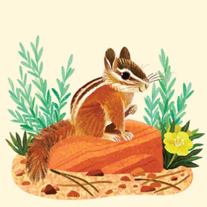 Animals of the NP Travel Match - Penguin Random House LLC