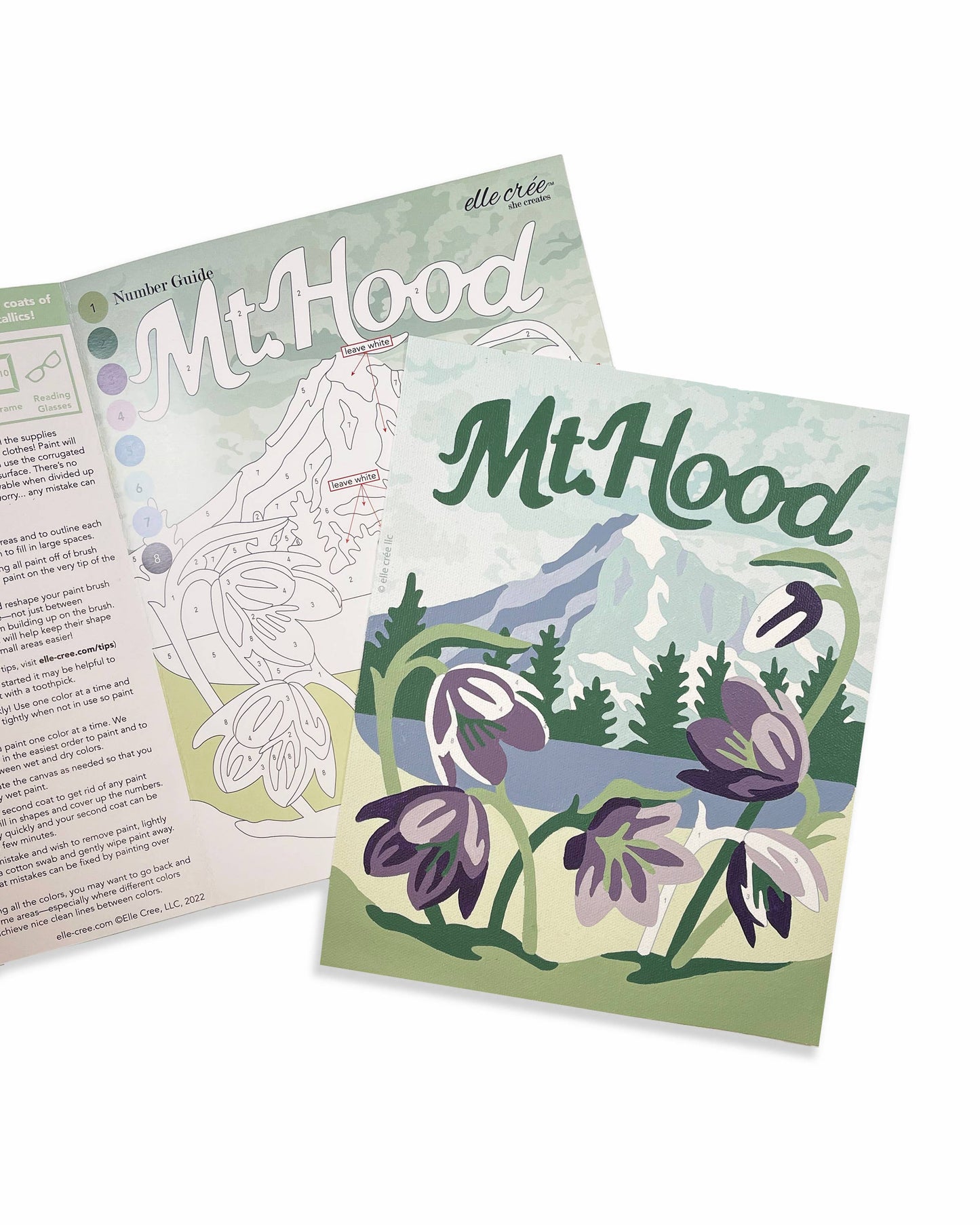 Mt. Hood with Fritillaria Paint-by-Number Kit