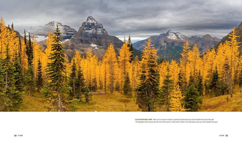 Park Lands- Gibbs Smith