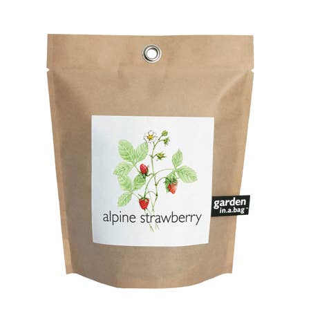 Garden in a Bag | Strawberry -  Potting Shed Creations