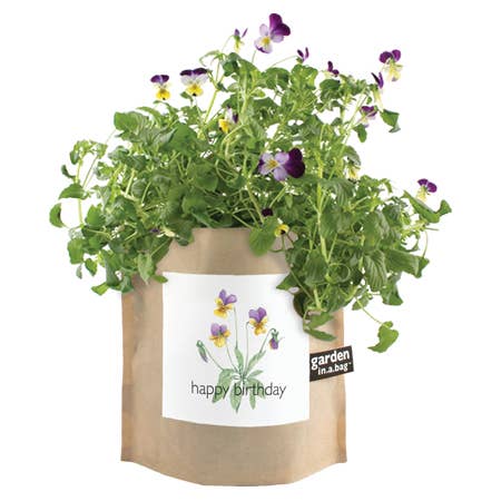 Garden in a Bag Happy Birthday - Potting Shed Creations