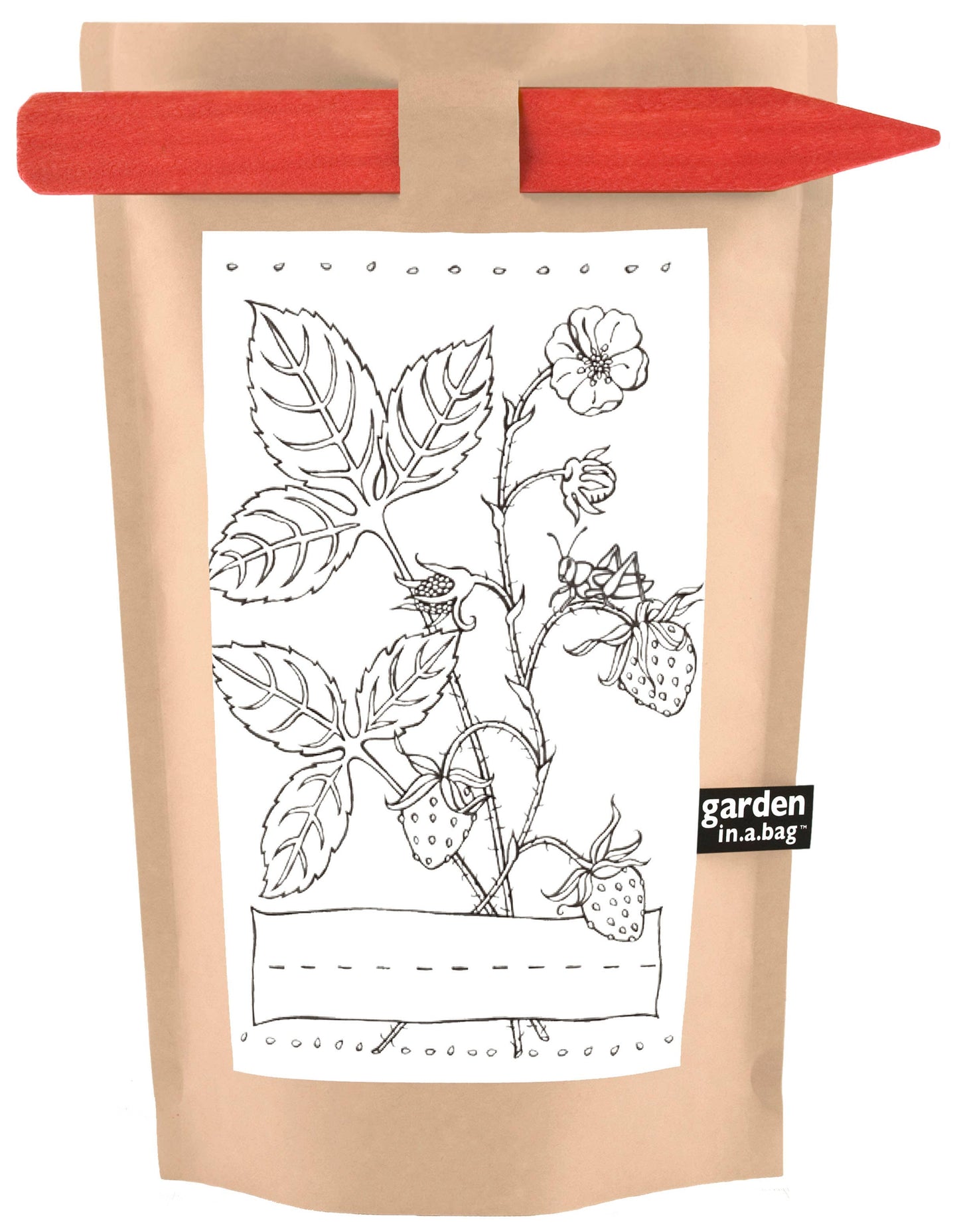 Garden in a Bag | Strawberry -  Potting Shed Creations