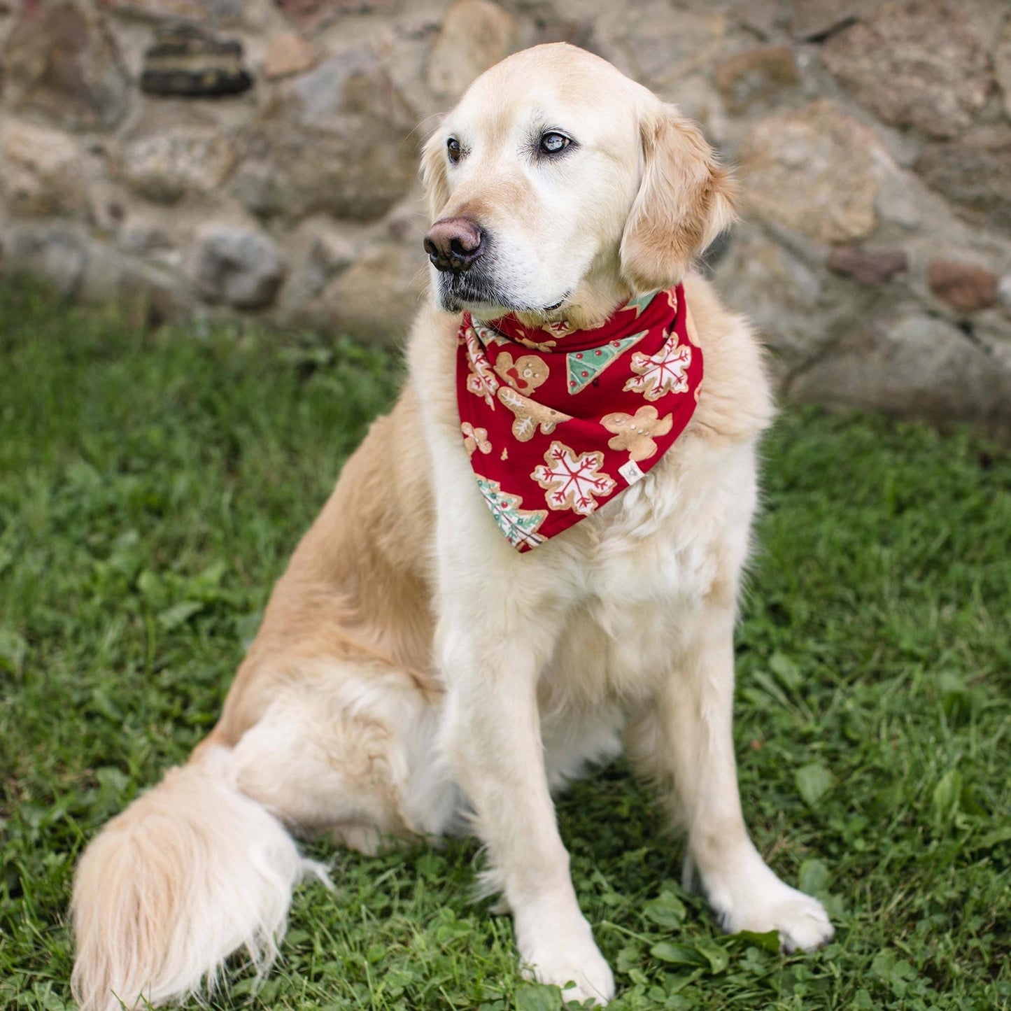 Gingerbread Bake Matching Family Pajamas
: 4T