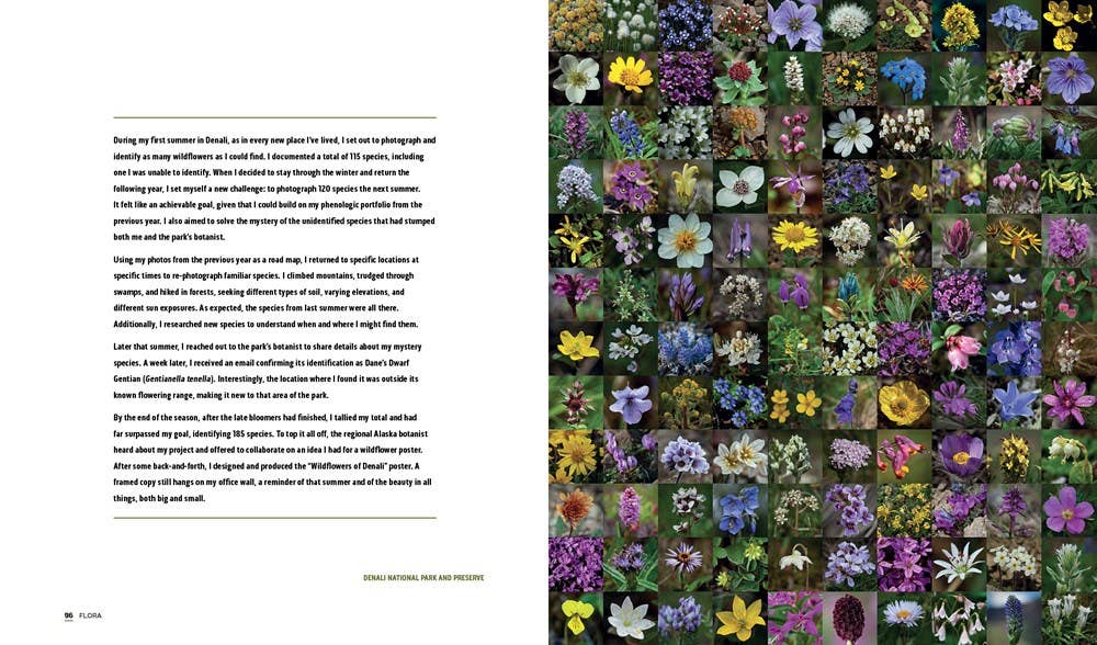 Park Lands- Gibbs Smith