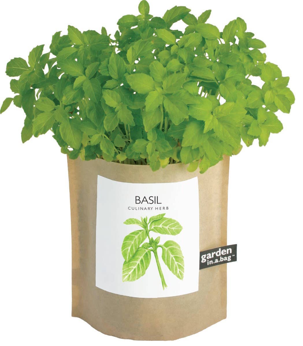 Garden in a Bag | Basil - Potting Shed Creations