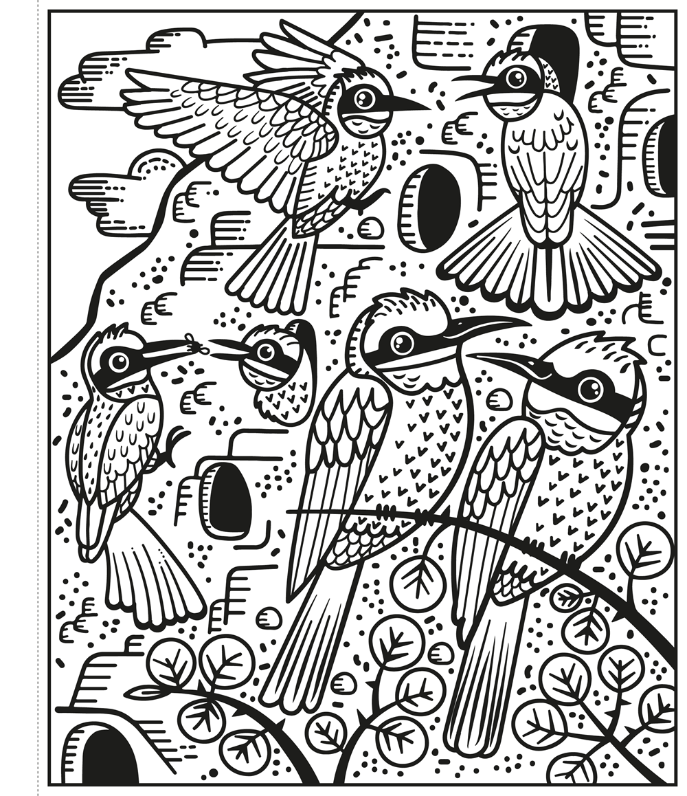 Birds Magic Painting Book : Usborne - HarperCollins