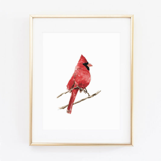Cardinal art print: 8x10