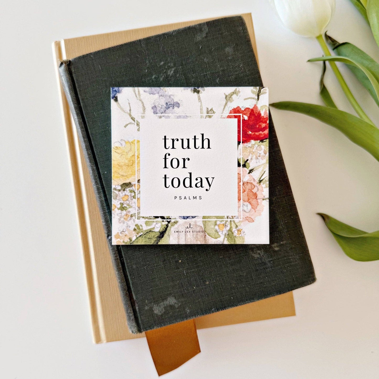 Truth for today psalms cards - emily lex studio