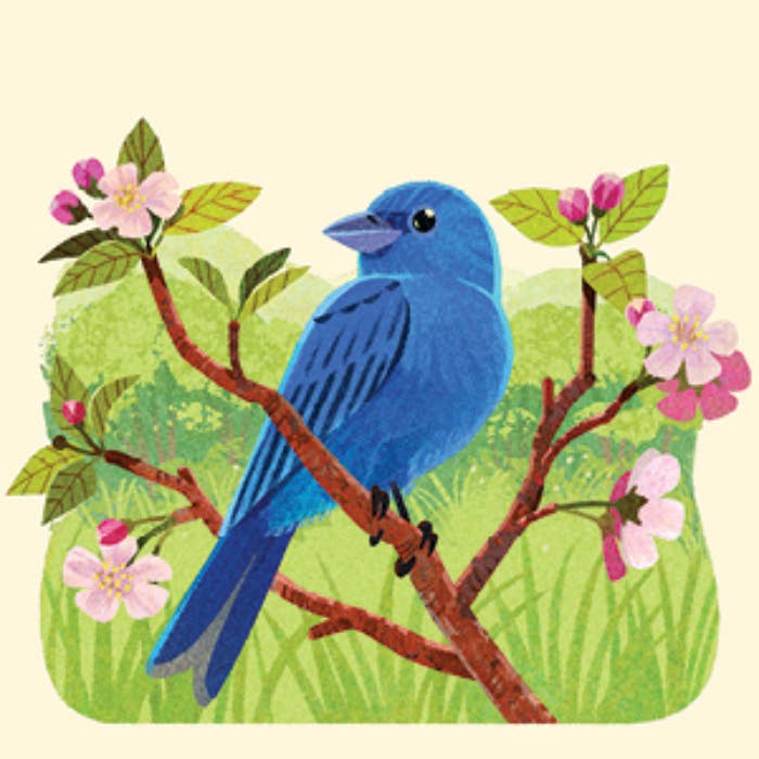 Animals of the NP Travel Match - Penguin Random House LLC