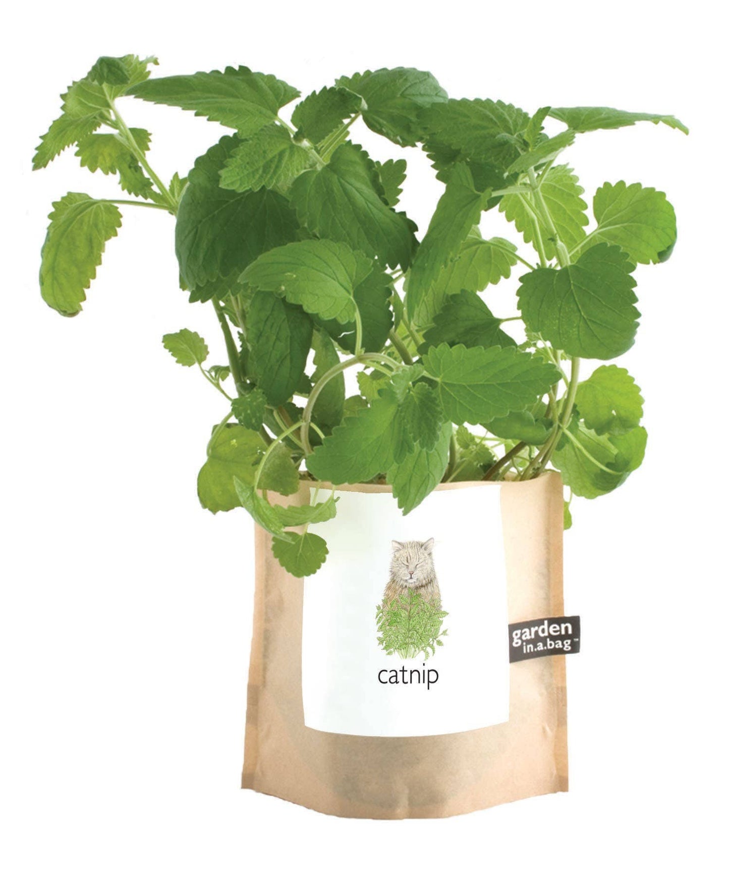 Garden Sprinkles | Catnip Potting Shed Creations