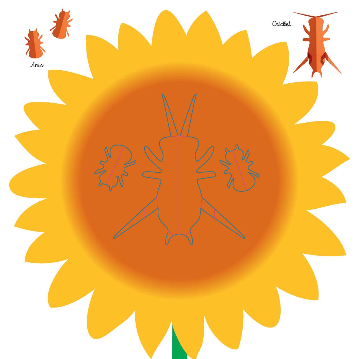 Insects: Fold & Play