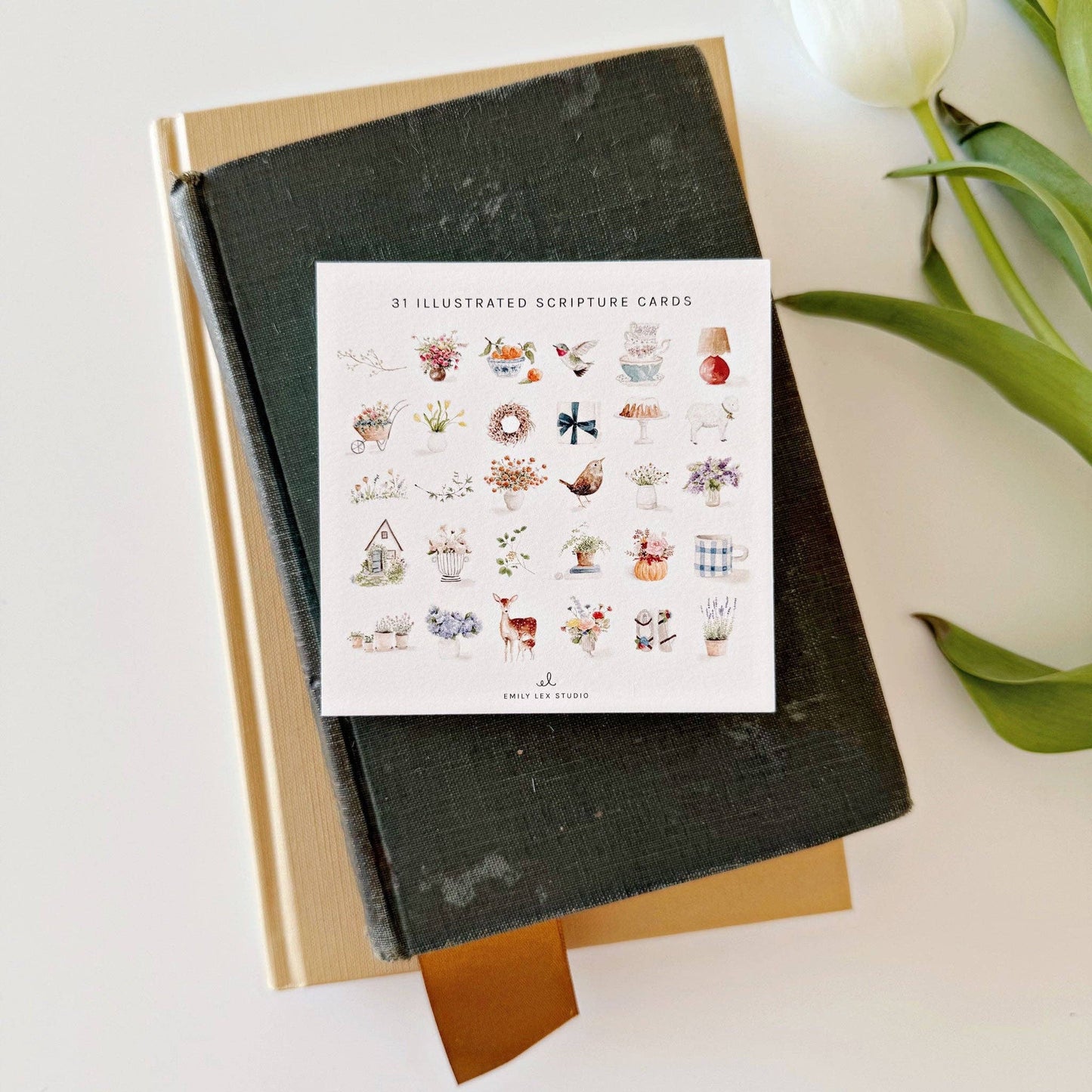 Truth for today psalms cards - emily lex studio