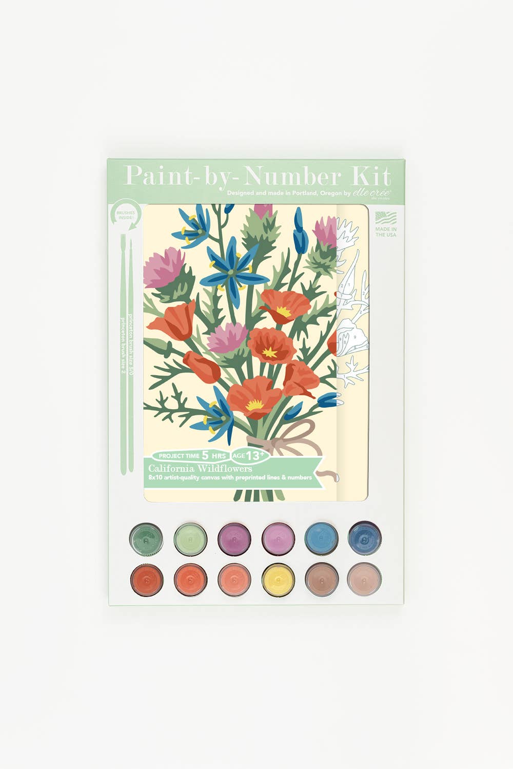 California Wildflowers Paint-by-Number Kit