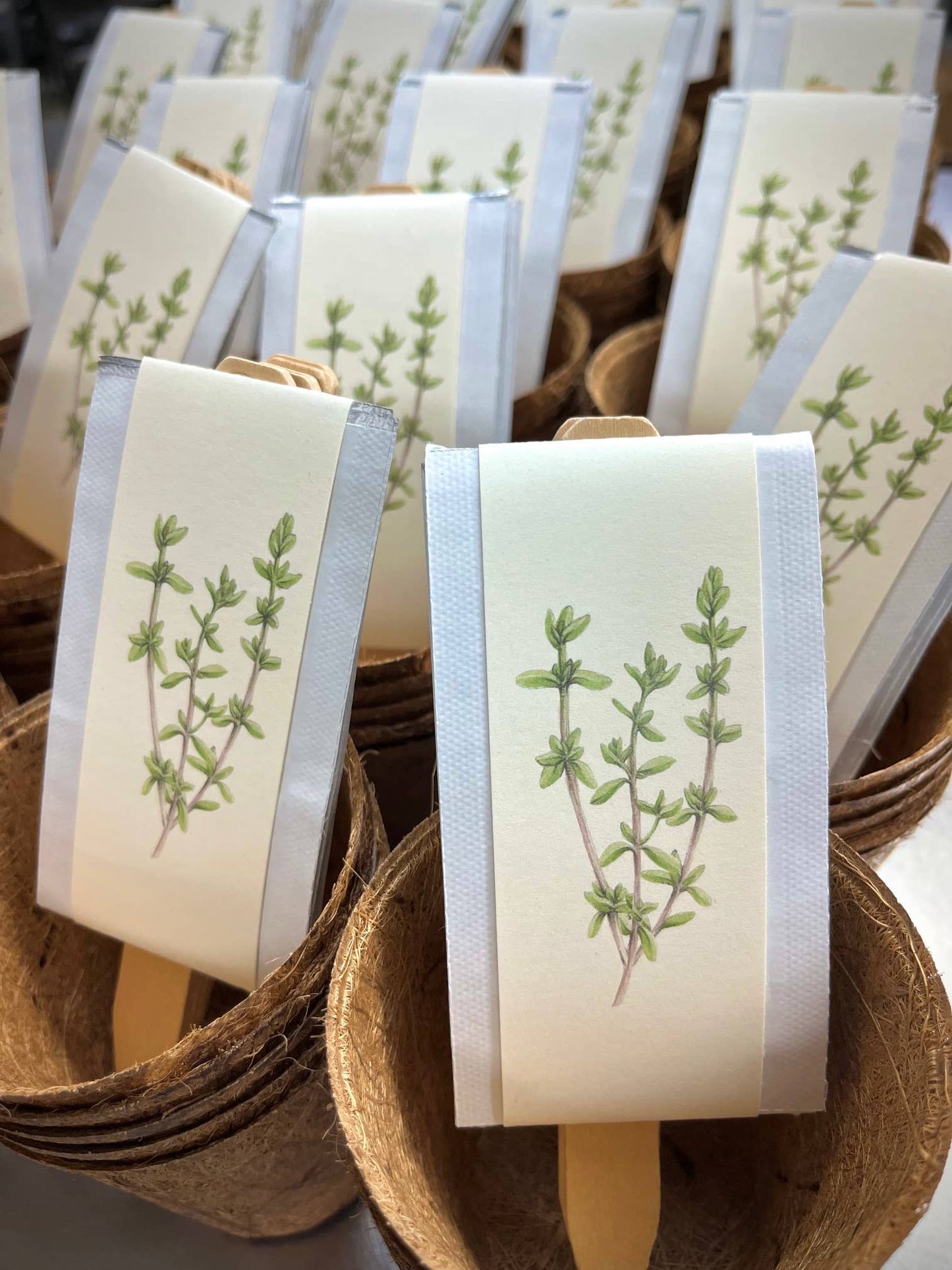 Culinary Herb Garden Box | Mother's Day - Potting Shed Creations