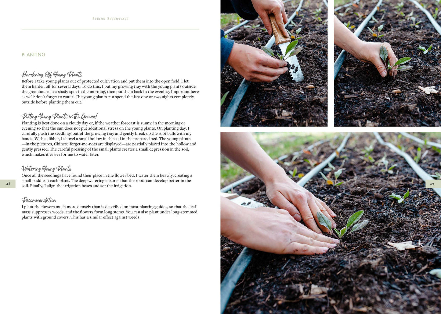 Sow, Grow, and Harvest - Schiffer Publishing