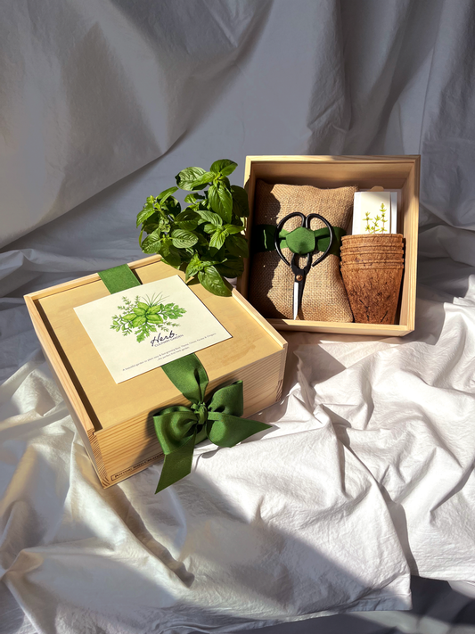 Culinary Herb Garden Box | Mother's Day - Potting Shed Creations
