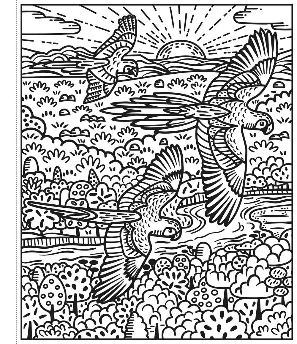 Birds Magic Painting Book : Usborne - HarperCollins
