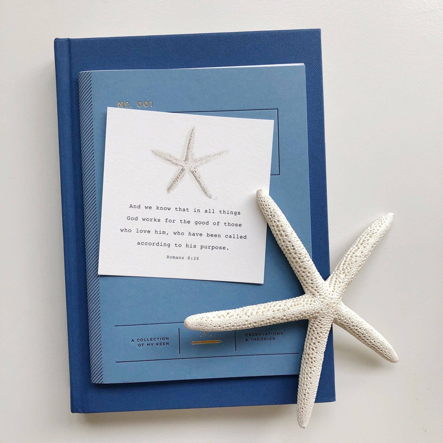 Truth for today cards for kids - emily lex studio