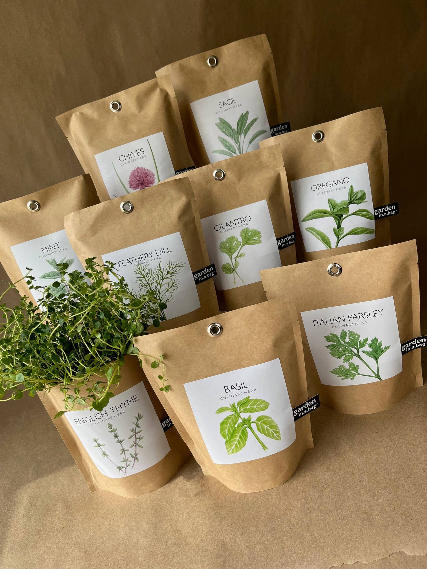 Garden in a Bag | Basil - Potting Shed Creations