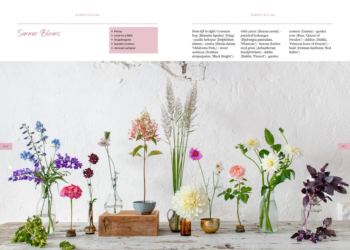 Sow, Grow, and Harvest - Schiffer Publishing