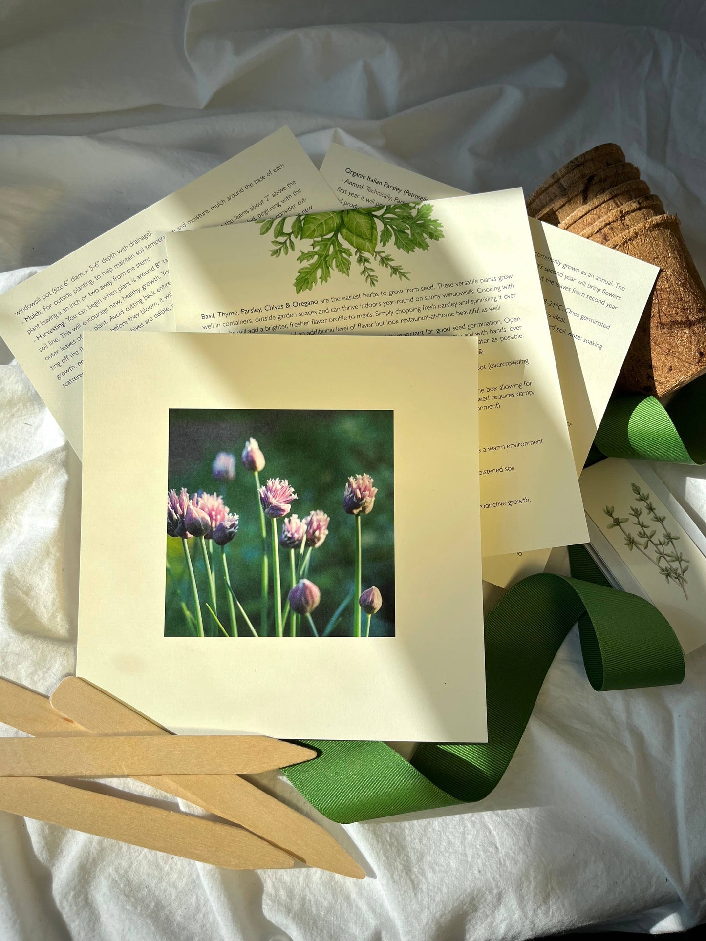 Culinary Herb Garden Box | Mother's Day - Potting Shed Creations