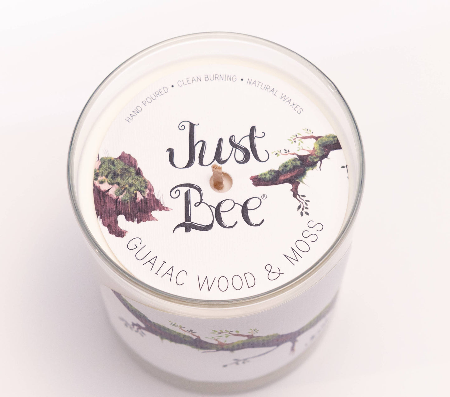 Guaiac Wood & Moss - Medium Glass - Just Bee Candle: Medium Glass (up to 40 hrs of clean burning)