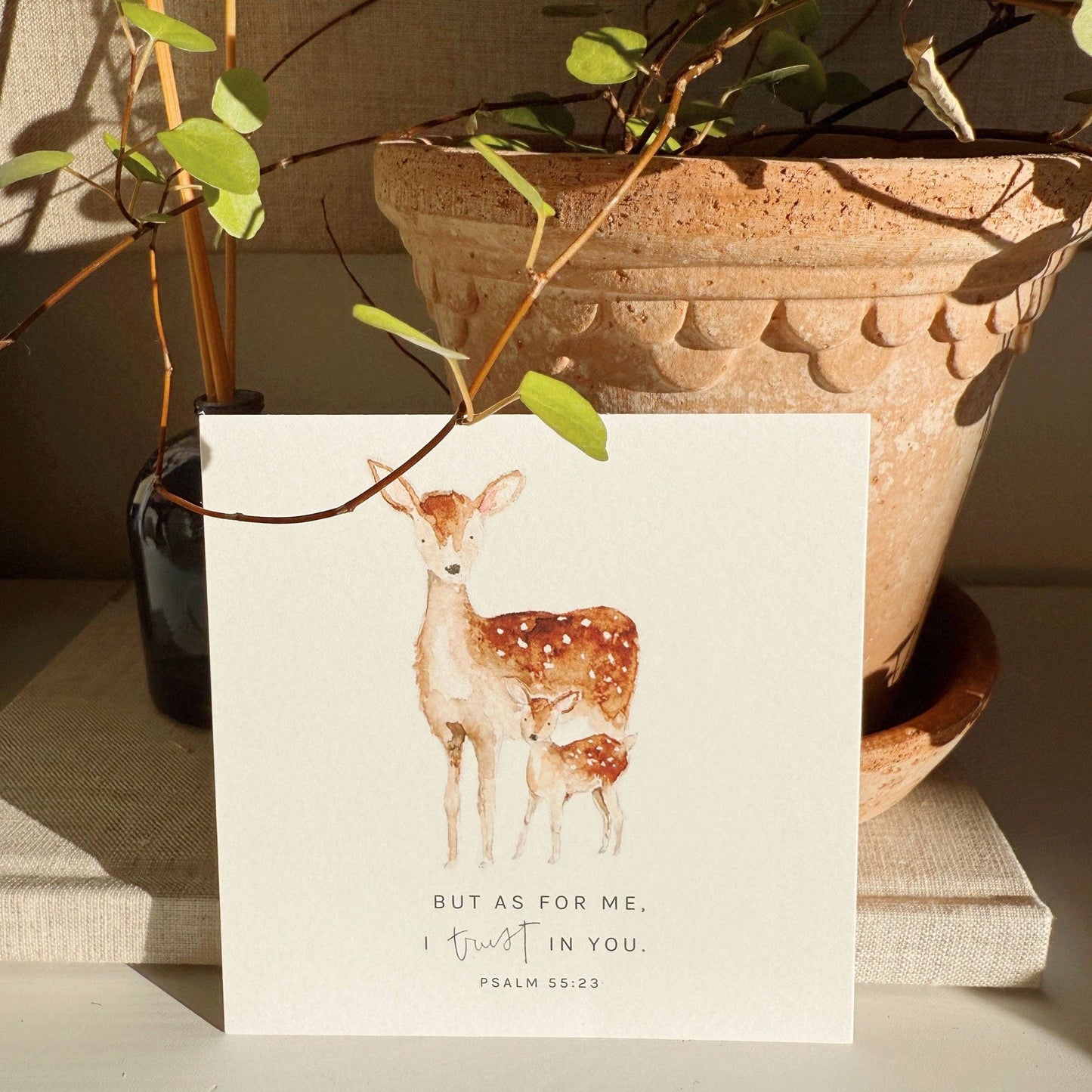 Truth for today psalms cards - emily lex studio