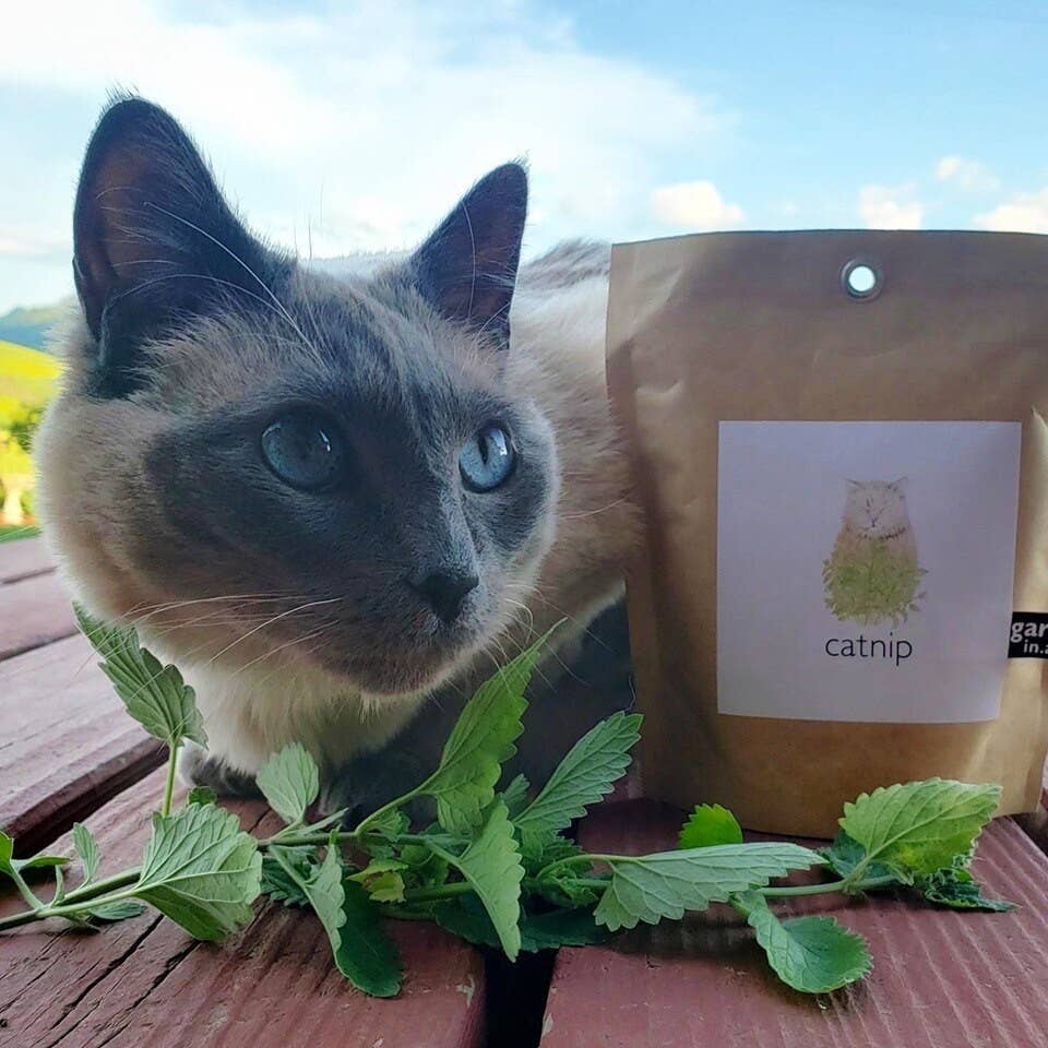 Garden Sprinkles | Catnip Potting Shed Creations